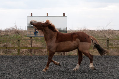DSC_1297.jpg