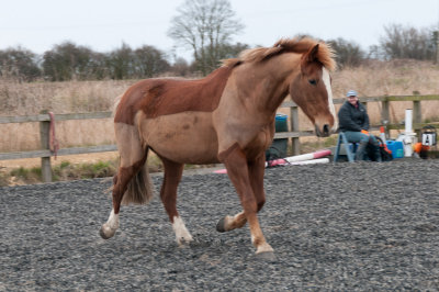 DSC_1398.jpg