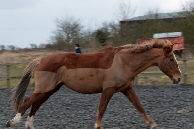 DSC_1399.jpg