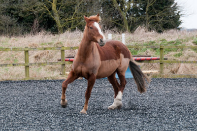 DSC_1409.jpg