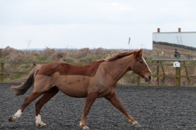 DSC_1411.jpg