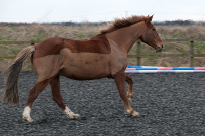 DSC_1413.jpg