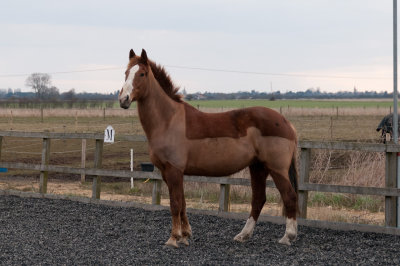 DSC_1451.jpg