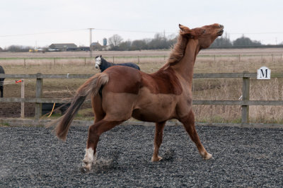 DSC_1477.jpg