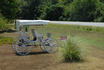 Carriage for Sale.jpg