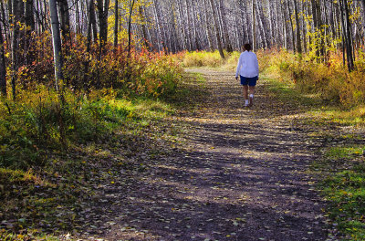 Trail around the By the Lake Park in Wetaskiwin