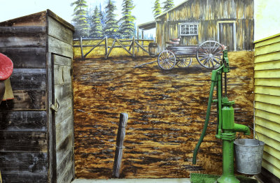 _DSC9079pb.jpg THe Outhouse