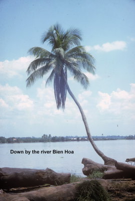 Bien Hoa City-02