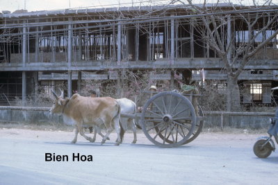 Bien Hoa City-20
