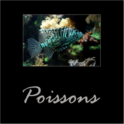 Poissons / Fish