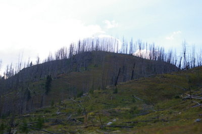 Lots of reminders of previous park fires