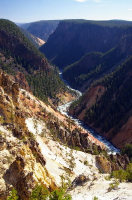 The Grand Canyon of Yellowstone