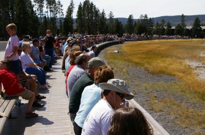 The crowds waiting for the Ol Faithful geyser