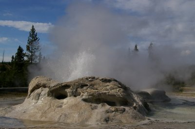 A geyser erupts