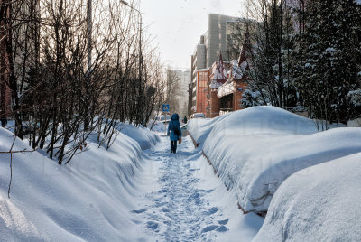 Winter in Novosibirsk