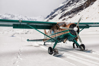 The aircraft that picks us up, with our unfortunate bird in the background