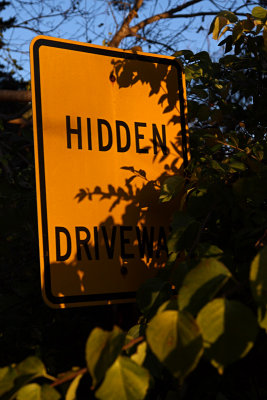 Hidden driveway...hidden!