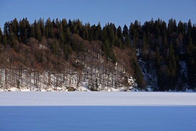 Lac Pavin