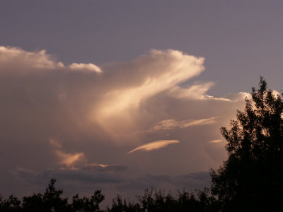 9-12-2012 Polar Bear Cloud.jpg