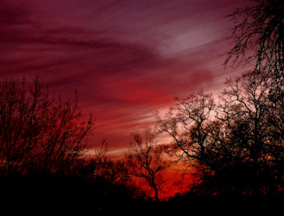 1-14-2013 Red Sunset 1.jpg