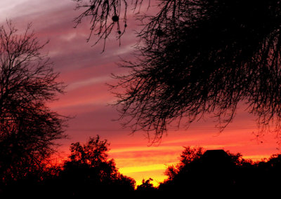 1-14-2013 Red Sunset 4.jpg