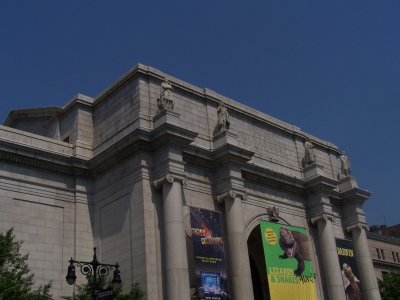 museum of natural history