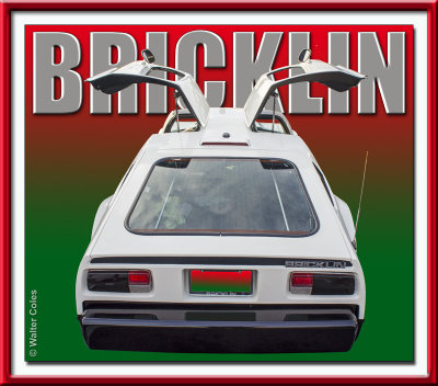 Bricklin 1980s White DD Framed.jpg