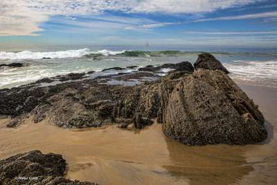 Crystal Cove 3-13 (49).jpg