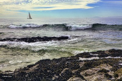 Crystal Cove 3-13 (62).jpg