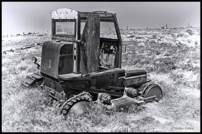 Poppy Preserve 4-24-10 (48) Tractor BW2.jpg
