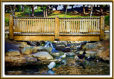 CM Park 11-27-12 2 Bridge Simplify.jpg