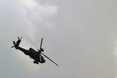 Circling its prey