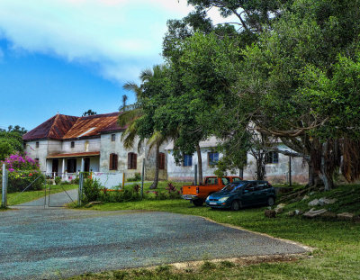 P1020417 3.jpg