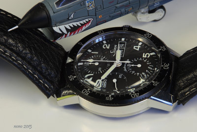 sinn44.jpg