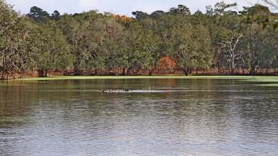 IMG_0011.jpg