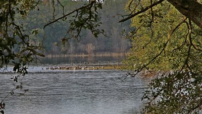 IMG_0022.jpg