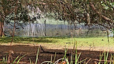 IMG_0041.jpg