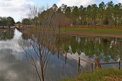 IMG_0082.jpg