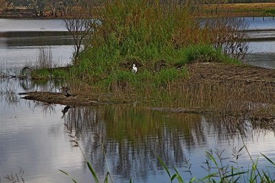 IMG_0096.jpg