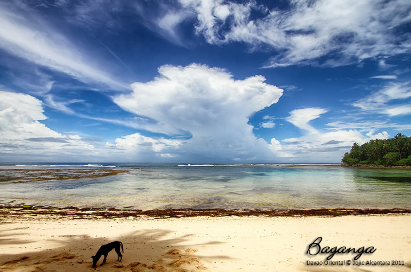 Daanglungsod Beach