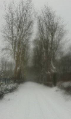 My foggy telephone in Winter