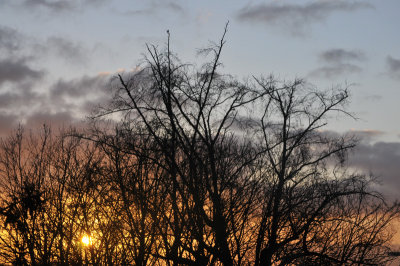 From our window this morning (December 26, 2012)