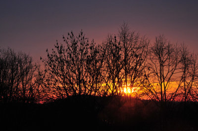 From our window this morning (March 16, 2013)