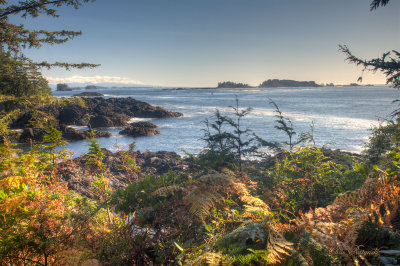 Single photos from around Ucluelet