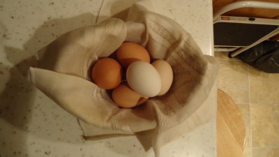 Fresh eggs 