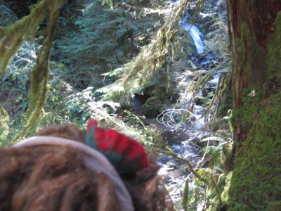 g2/23/926723/3/149599429.m11A2zut.jpg