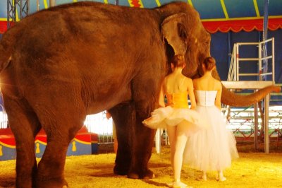 Ballerinas with Circus Elephant (1).jpg
