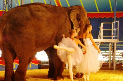 Ballerinas with Circus Elephant (2).jpg