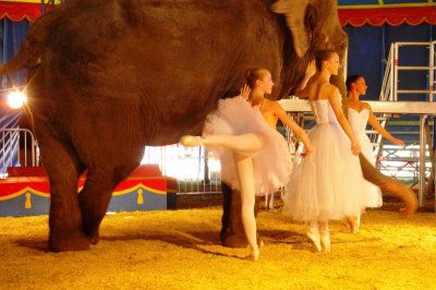 Ballerinas with Circus Elephant (3).jpg