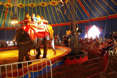 Elephant Ride for Kids Under the Big Top (1).jpg